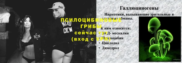 амф Верхний Тагил