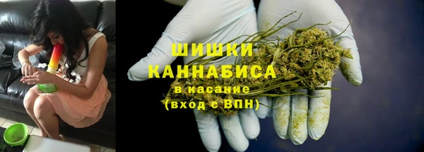 амф Верхний Тагил