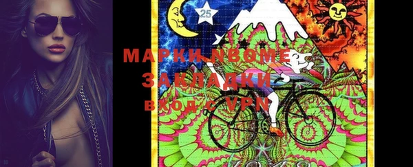 амф Верхний Тагил