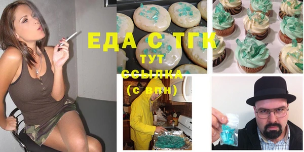 амф Верхний Тагил
