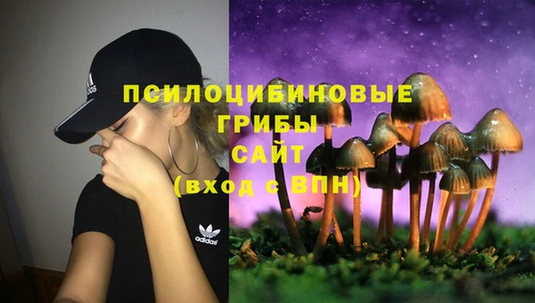 МДПВ Верея