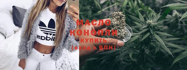 амф Верхний Тагил