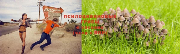 сатива Верхнеуральск