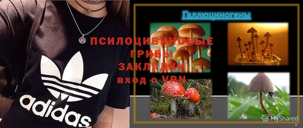 МДПВ Верея