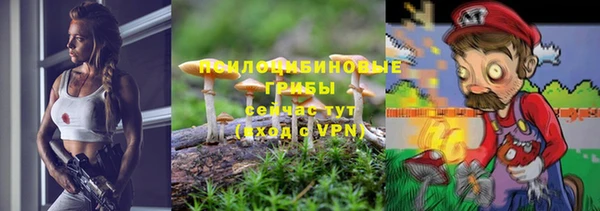 сатива Верхнеуральск