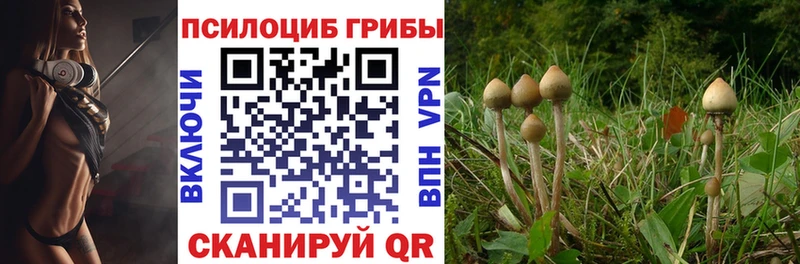 Псилоцибиновые грибы ЛСД  как найти закладки  ОМГ ОМГ рабочий сайт  Гурьевск 